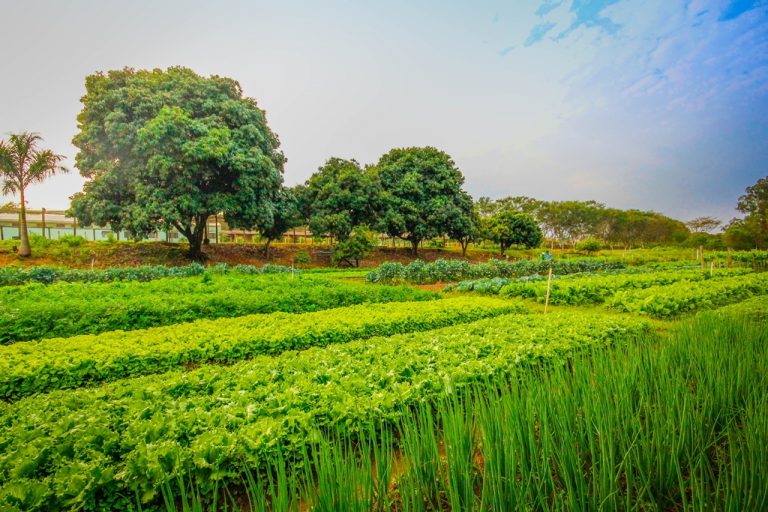Fotos da exposição Projeto Unoeste Sustentável. Click: Guilherme Suzuqui