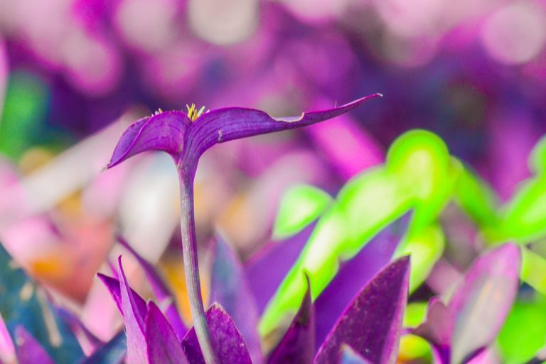 Fotos da exposição Projeto Unoeste Sustentável. Click: Guilherme Suzuqui