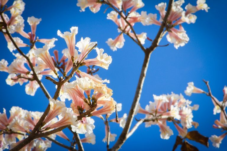 Fotos da exposição Projeto Unoeste Sustentável. Click: Gabriela Aragão