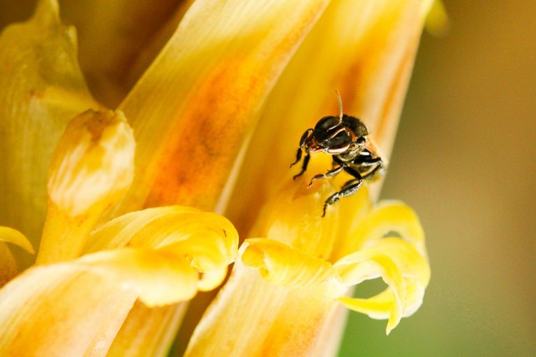 Fotos da exposição Projeto Unoeste Sustentável. Click: Weverson Nascimento