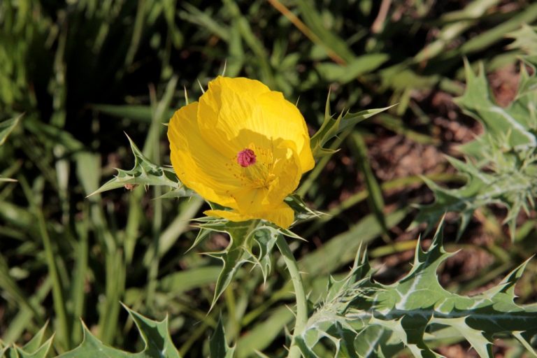 Fotos da exposição Projeto Unoeste Sustentável. Click: Beatriz Vitrio