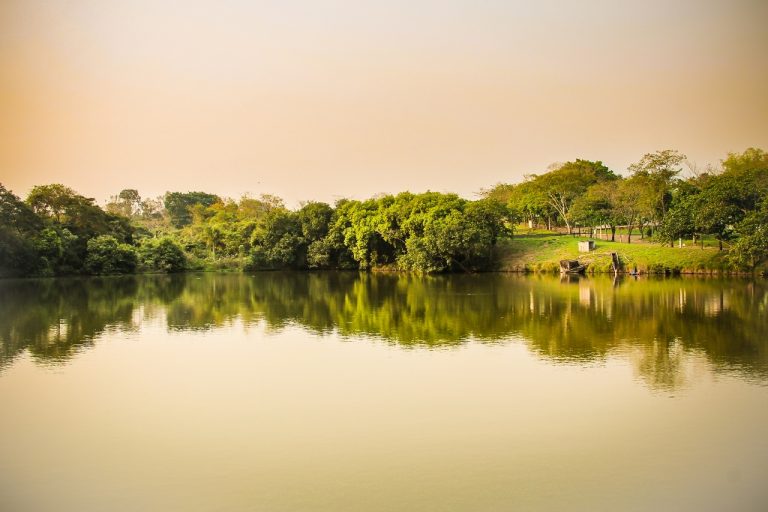 Fotos da exposição Projeto Unoeste Sustentável. Click: William Cesar