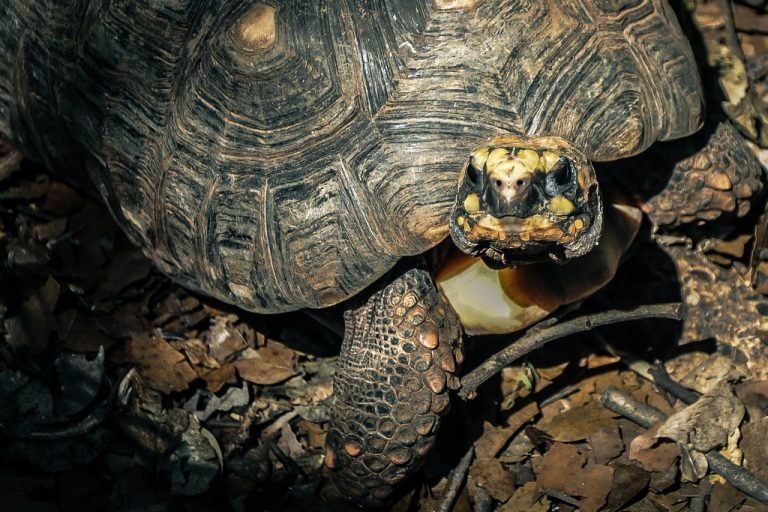 Fotos da exposição Projeto Unoeste Sustentável. Click: Taine Correa
