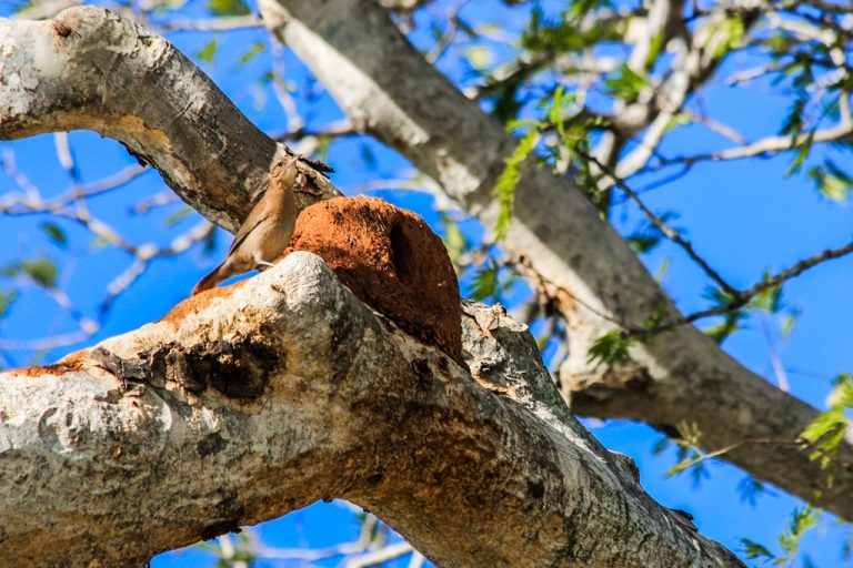Fotos da exposição Projeto Unoeste Sustentável. Click: Marlene Reverte