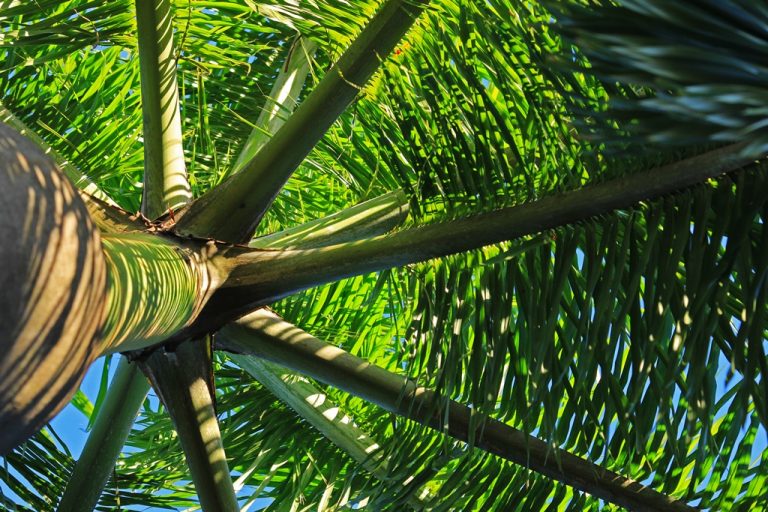 Fotos da exposição Projeto Unoeste Sustentável. Click: Maria Vitória