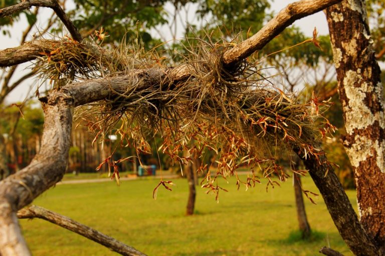 Fotos da exposição Projeto Unoeste Sustentável. Click: Larissa Oliveira