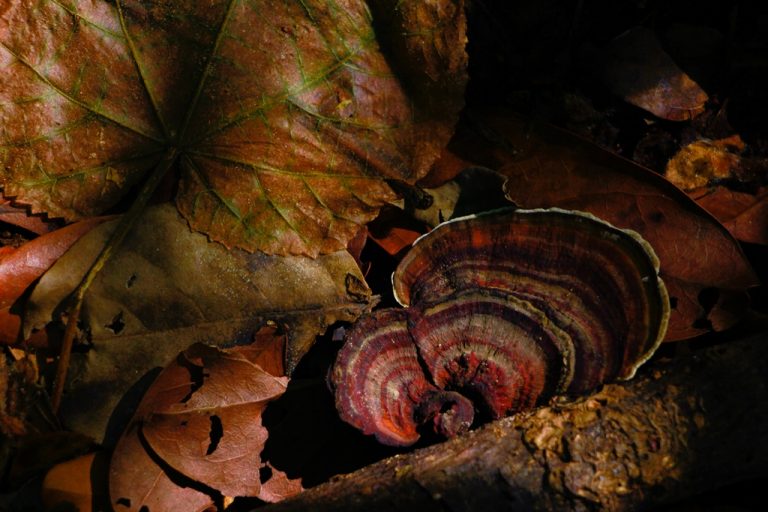 Fotos da exposição Projeto Unoeste Sustentável. Click: Gabriela Aragão