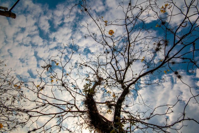 Fotos da exposição Projeto Unoeste Sustentável. Click: Marlene Reverte