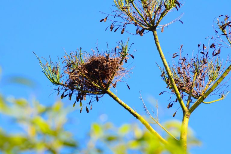 Fotos da exposição Projeto Unoeste Sustentável. Click: Marlene Reverte