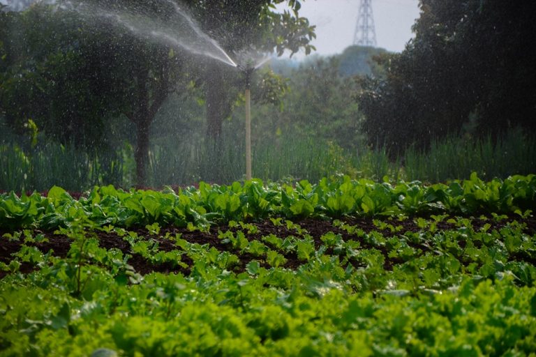 Fotos da exposição Projeto Unoeste Sustentável. Click: Larissa Akyiama