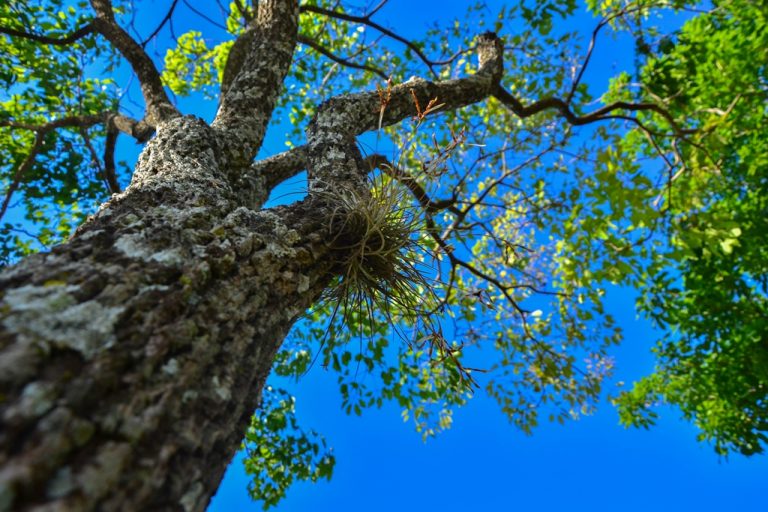 Fotos da exposição Projeto Unoeste Sustentável. Click: Larissa Akyiama