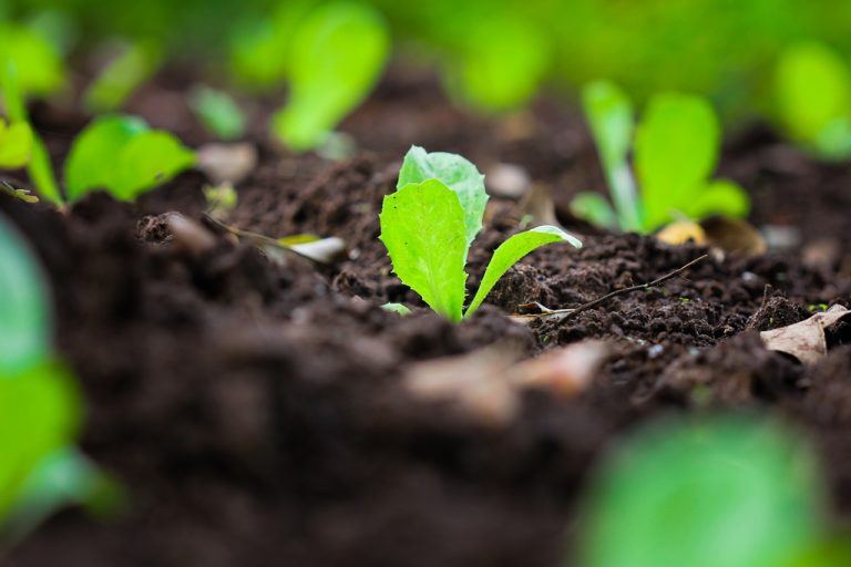 Fotos da exposição Projeto Unoeste Sustentável. Click: Weverson Nascimento