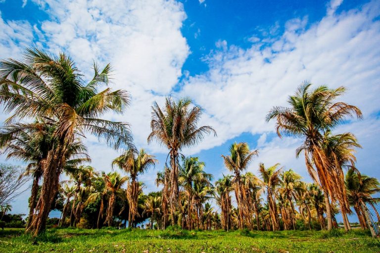 Fotos da exposição Projeto Unoeste Sustentável. Click: Guilherme Suzuqui