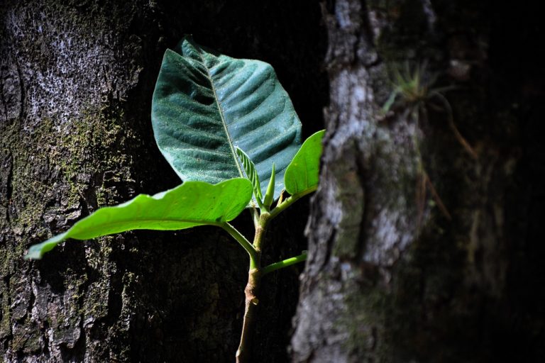 Fotos da exposição Projeto Unoeste Sustentável. Click: Taine Correa