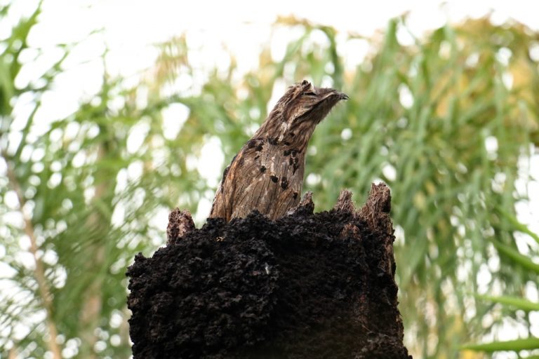 Fotos da exposição Projeto Unoeste Sustentável. Click: Fernando Gonçalves